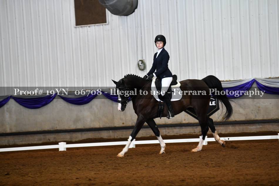 Proof 19YN_06708