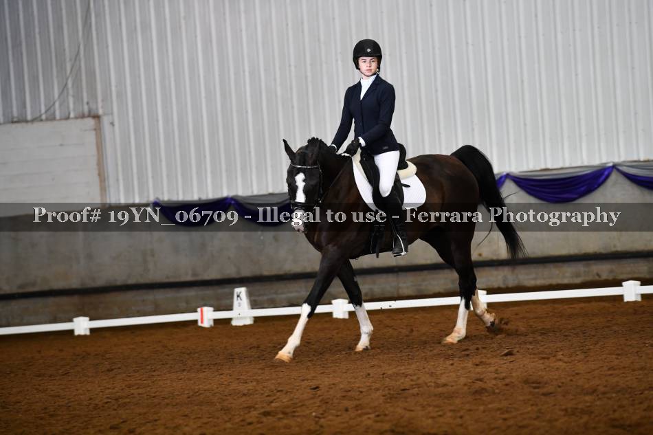 Proof 19YN_06709