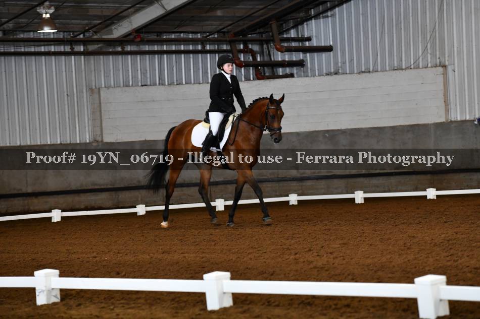 Proof 19YN_06719