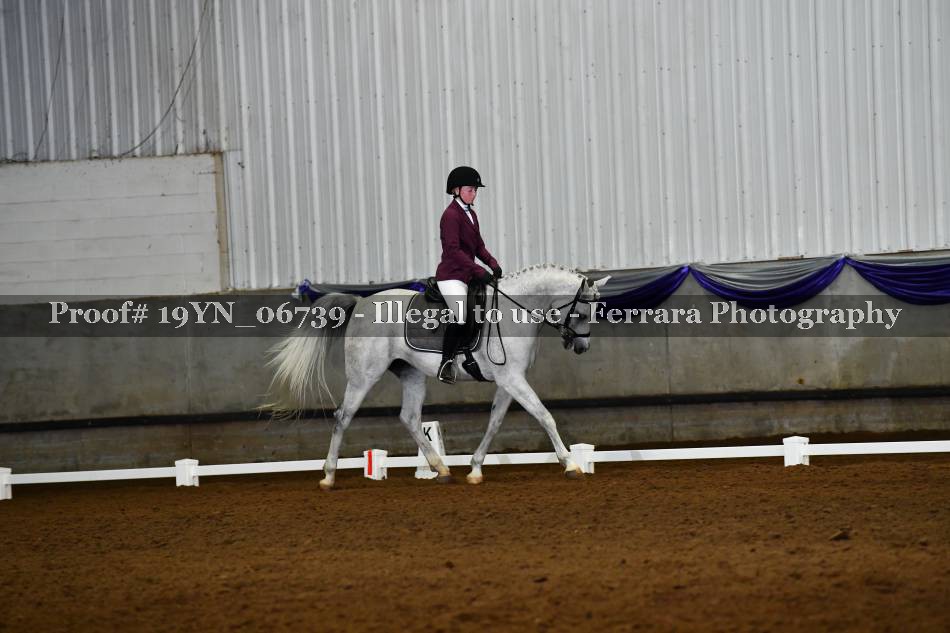 Proof 19YN_06739