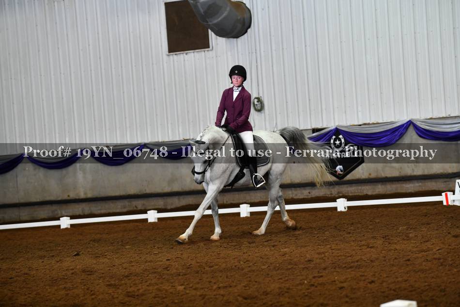Proof 19YN_06748