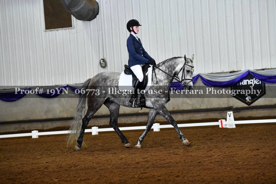Proof 19YN_06773