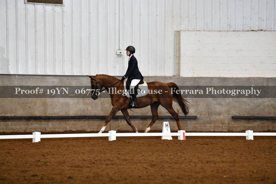 Proof 19YN_06775