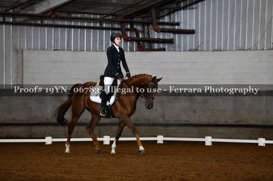 Proof 19YN_06783
