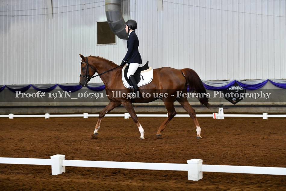 Proof 19YN_06791