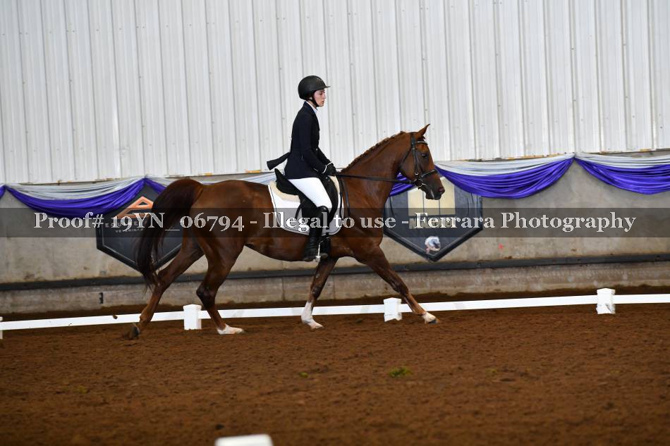 Proof 19YN_06794