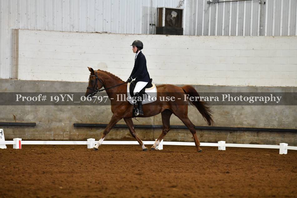 Proof 19YN_06797