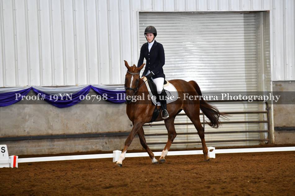 Proof 19YN_06798