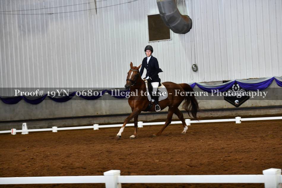 Proof 19YN_06801