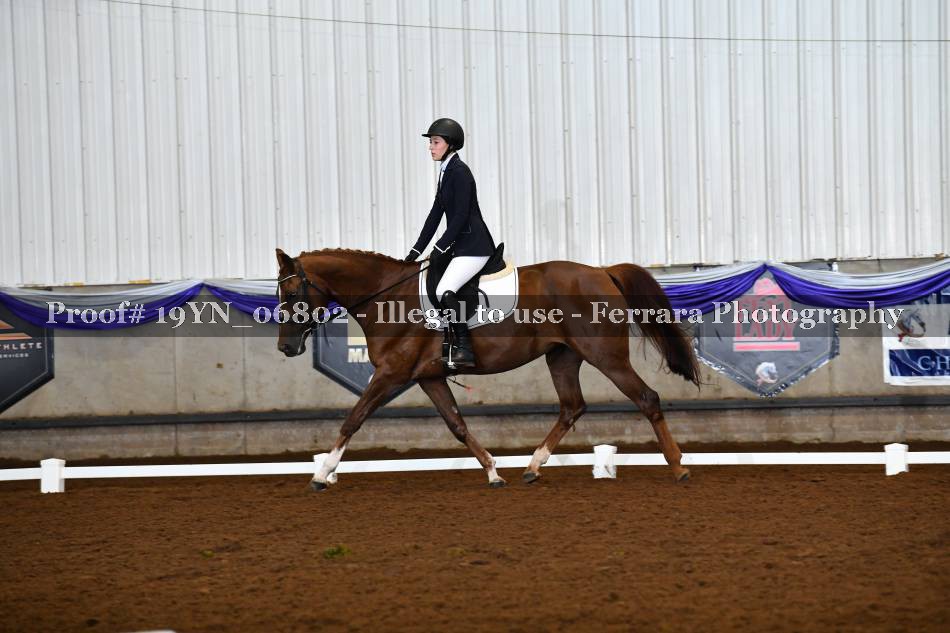 Proof 19YN_06802