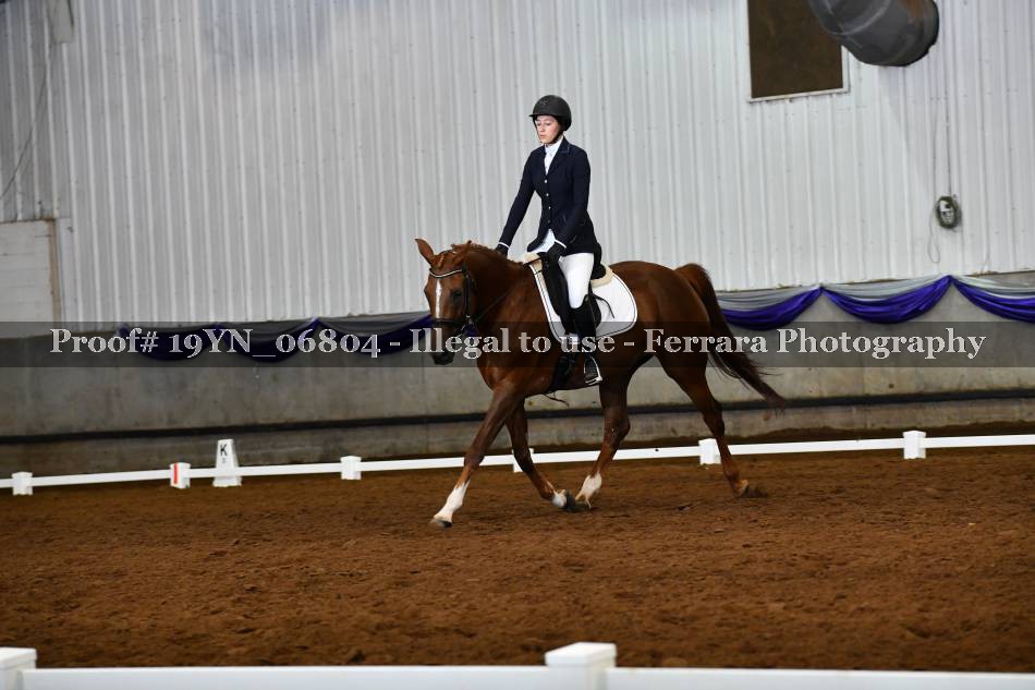 Proof 19YN_06804