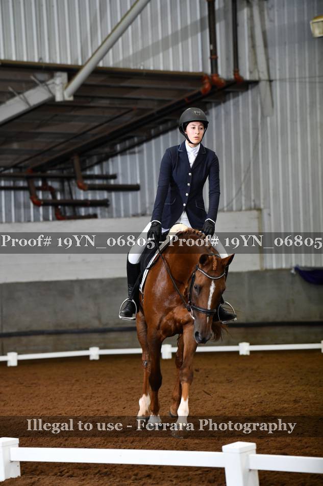 Proof 19YN_06805