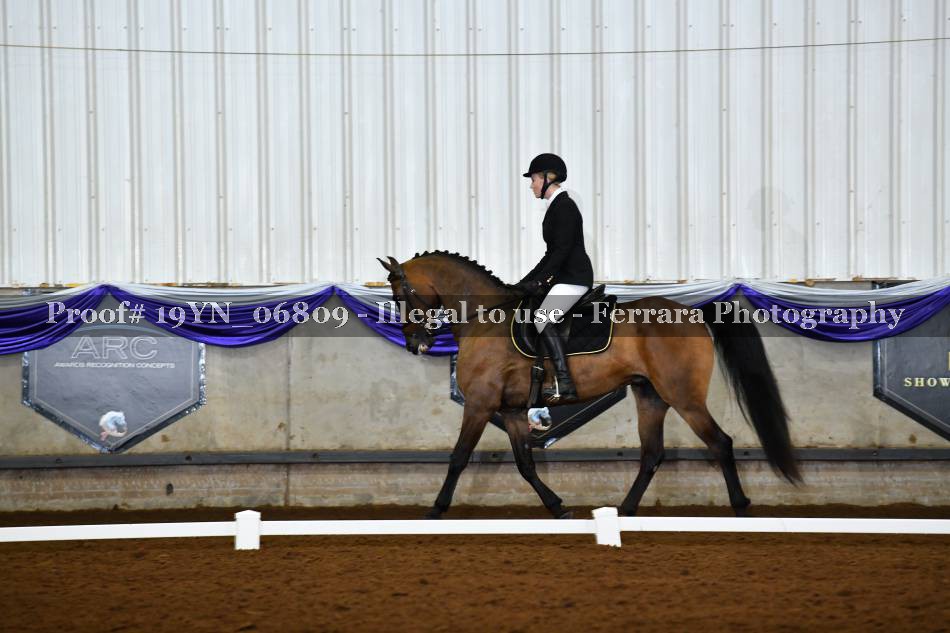 Proof 19YN_06809
