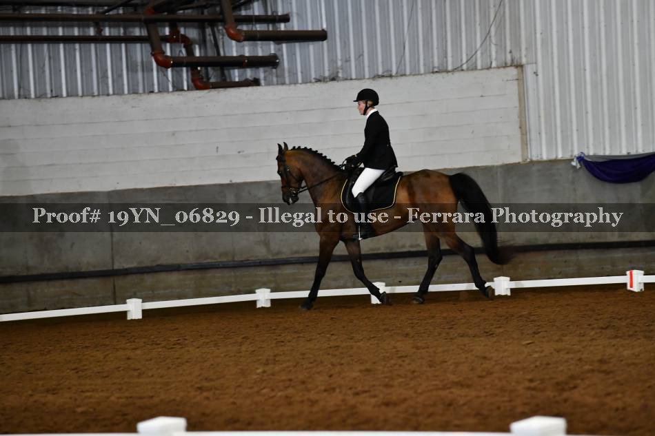 Proof 19YN_06829
