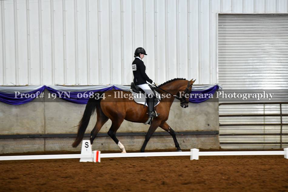 Proof 19YN_06834