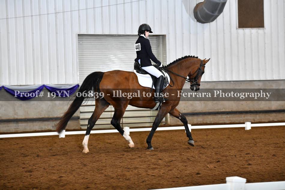 Proof 19YN_06839