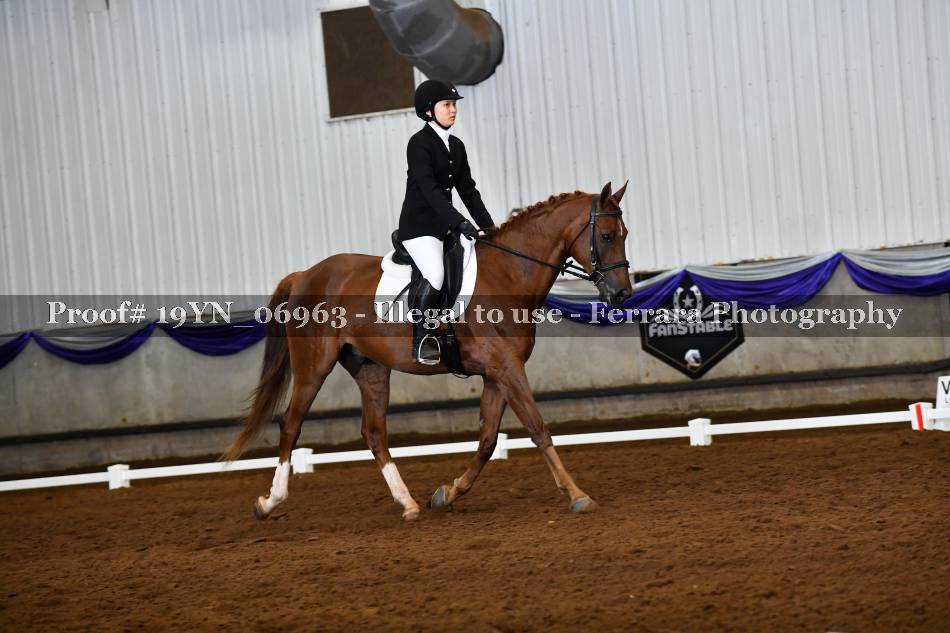 Proof 19YN_06963