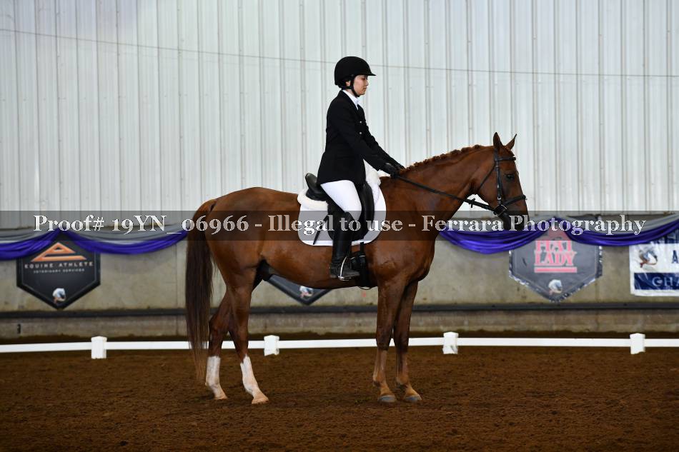 Proof 19YN_06966