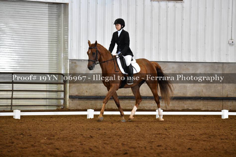 Proof 19YN_06967