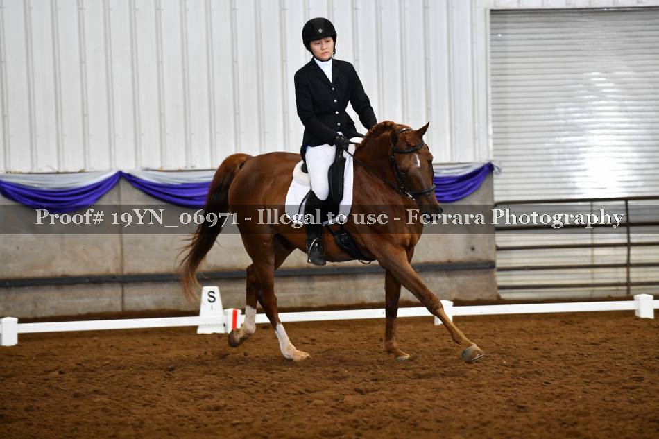 Proof 19YN_06971