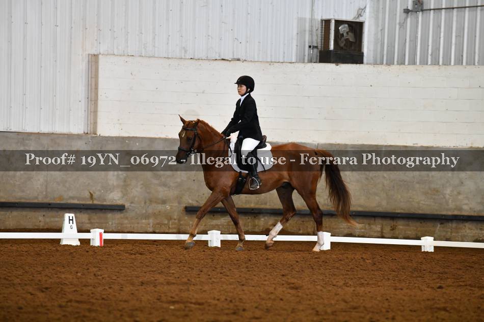 Proof 19YN_06972
