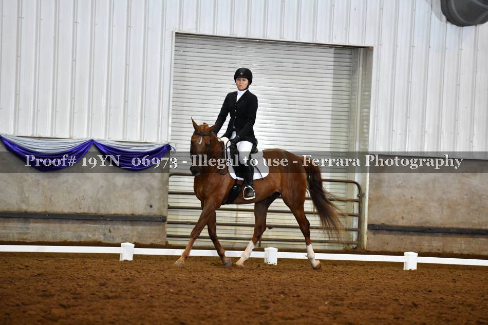 Proof 19YN_06973