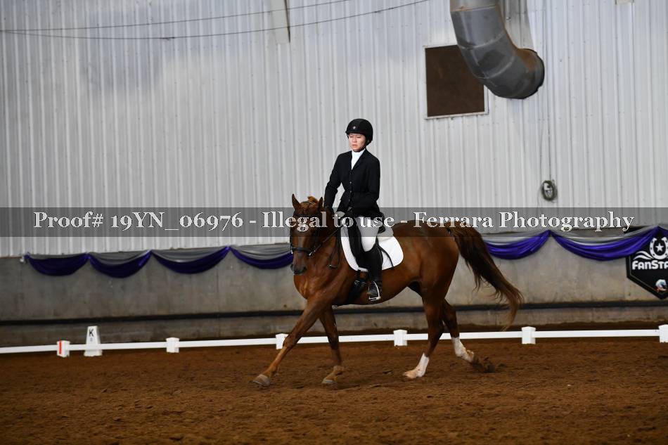 Proof 19YN_06976