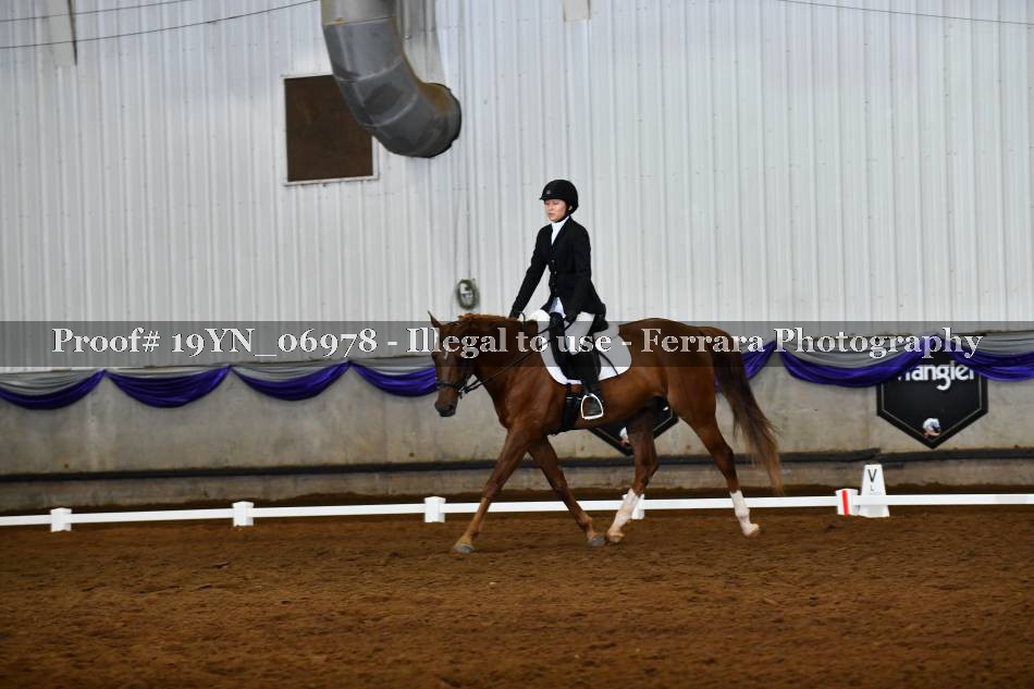 Proof 19YN_06978