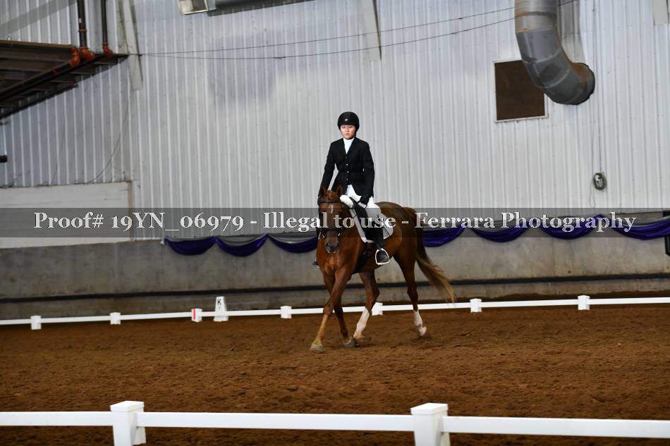 Proof 19YN_06979