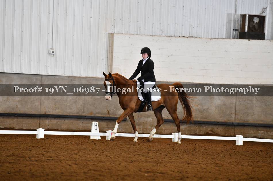 Proof 19YN_06987