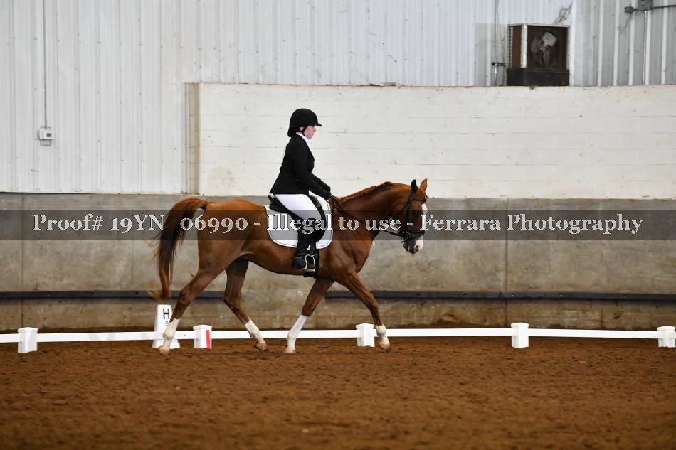 Proof 19YN_06990