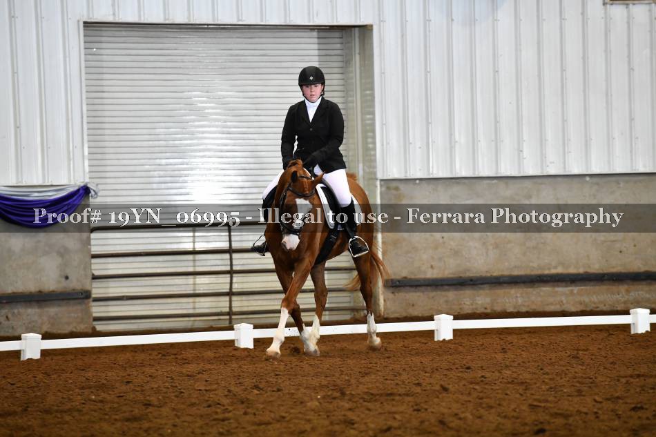 Proof 19YN_06995