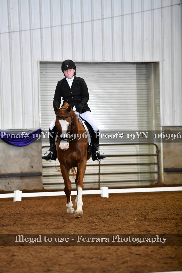 Proof 19YN_06996