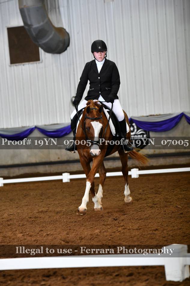 Proof 19YN_07005