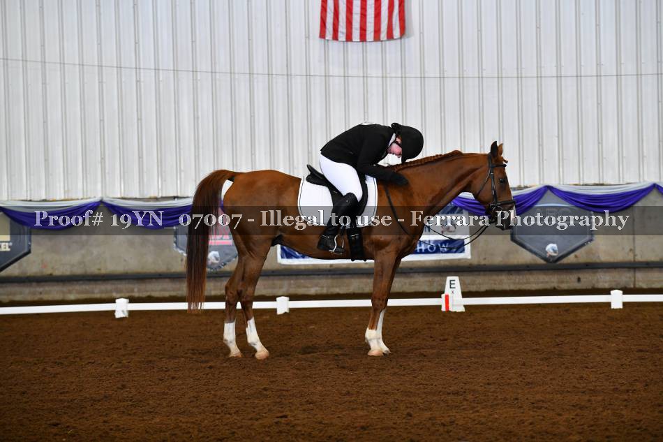 Proof 19YN_07007