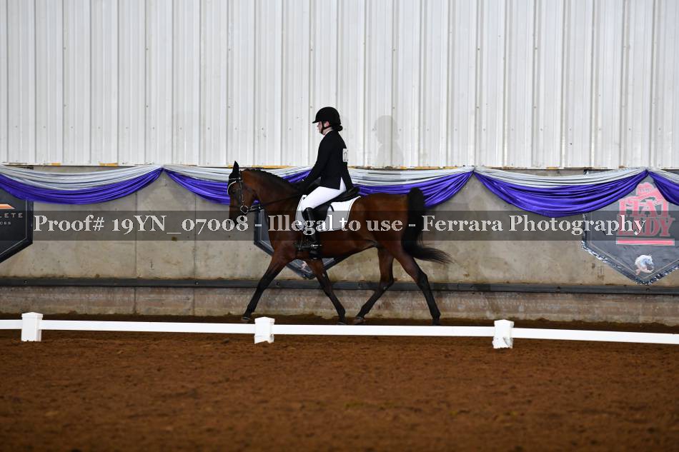 Proof 19YN_07008