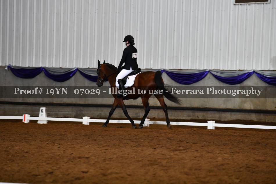 Proof 19YN_07029
