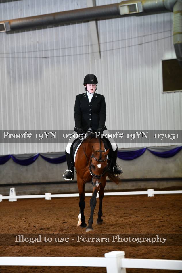 Proof 19YN_07051