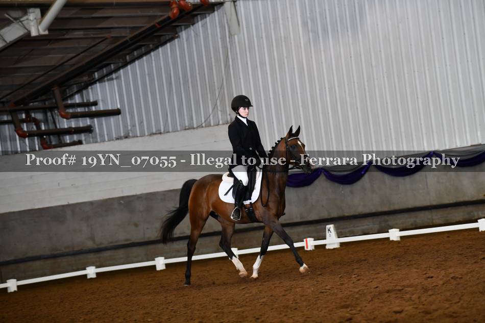 Proof 19YN_07055