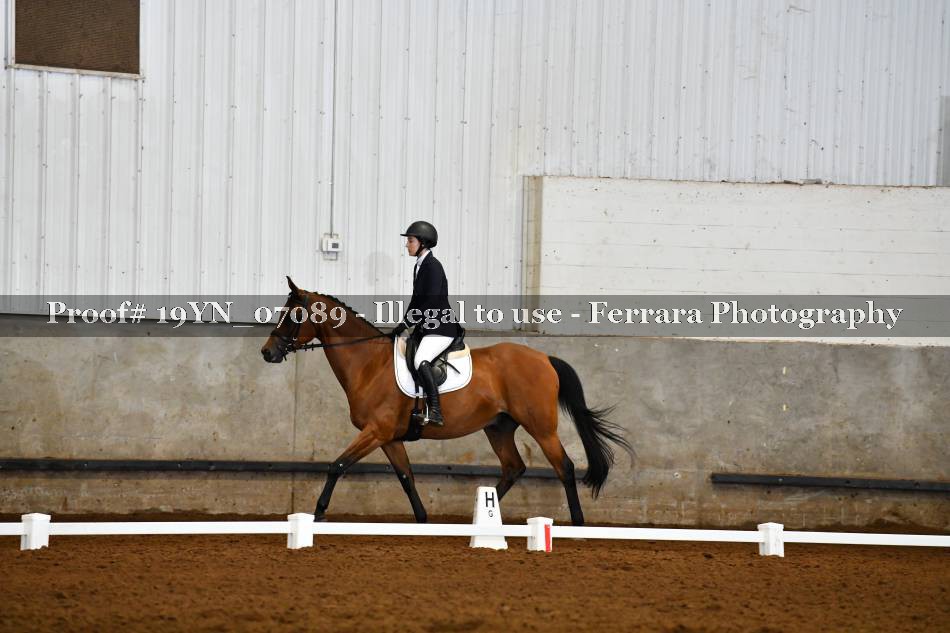 Proof 19YN_07089