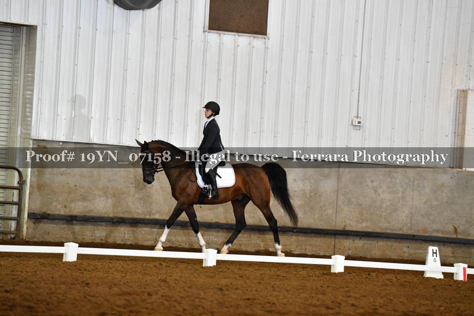 Proof 19YN_07158