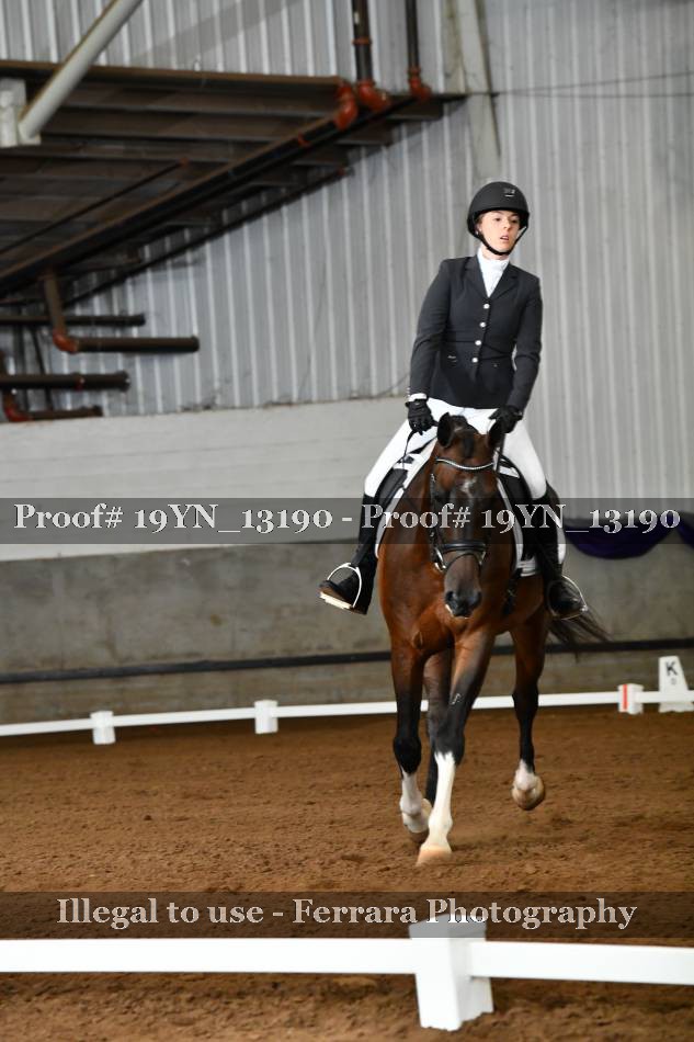 Proof 19YN_13190