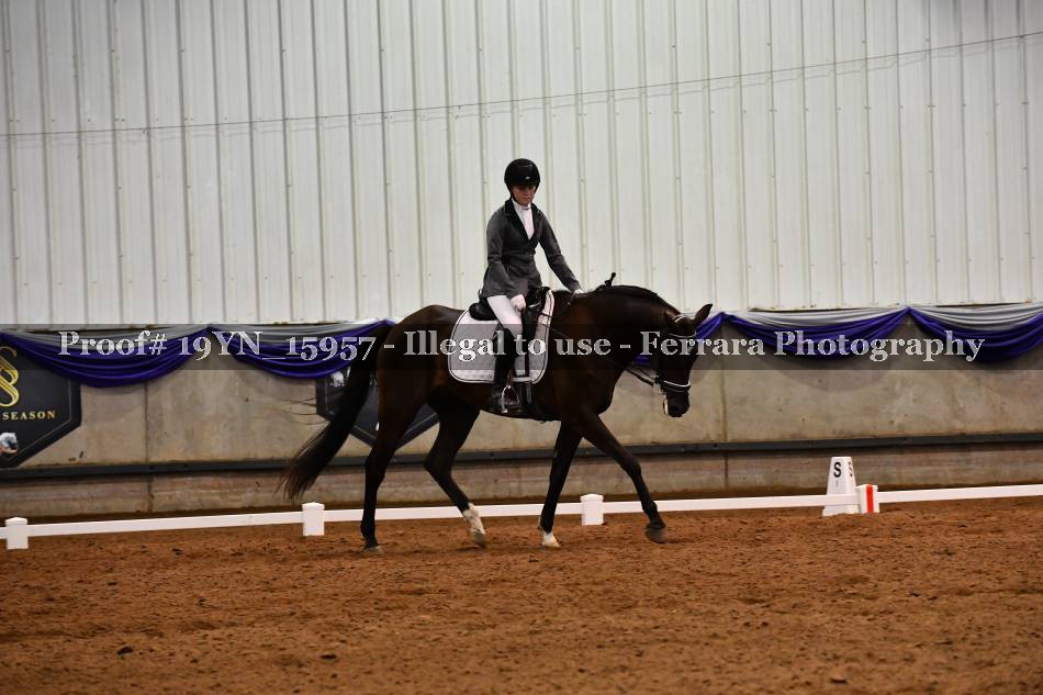 Proof 19YN_15957