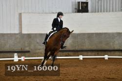 19YN_16000 proof