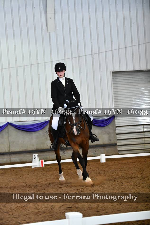 Proof 19YN_16033