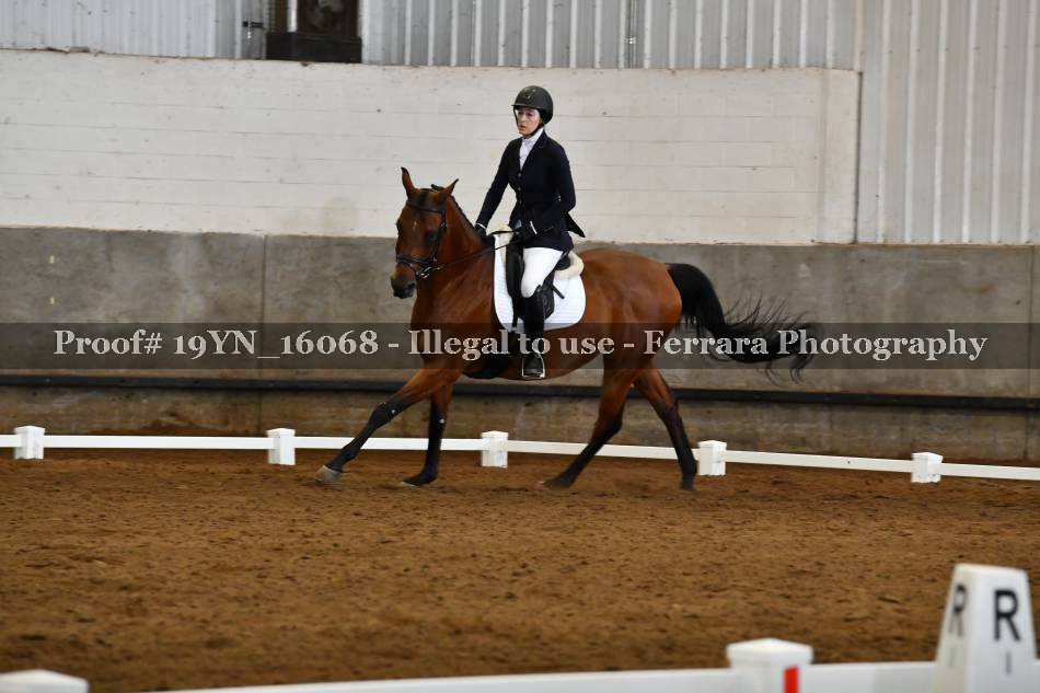 Proof 19YN_16068
