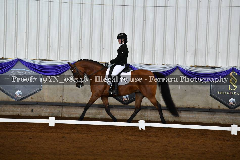 Proof 19YN_08548