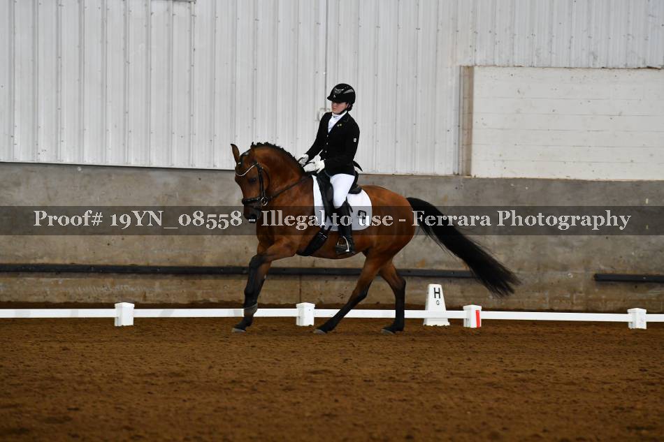 Proof 19YN_08558