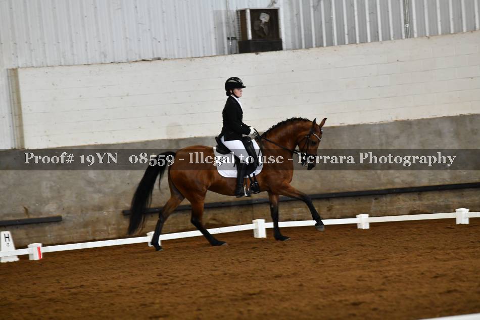 Proof 19YN_08559