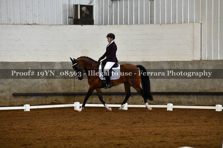 Proof 19YN_08563